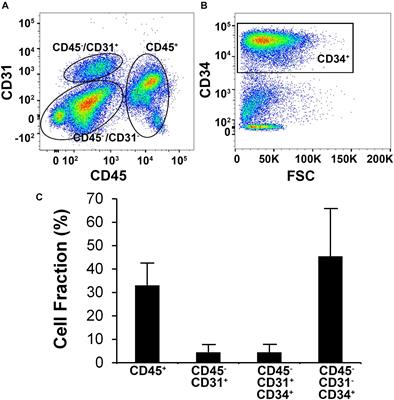 Delivery of Human Stromal Vascular Fraction Cells on Nanofibrillar Scaffolds for Treatment of Peripheral Arterial Disease